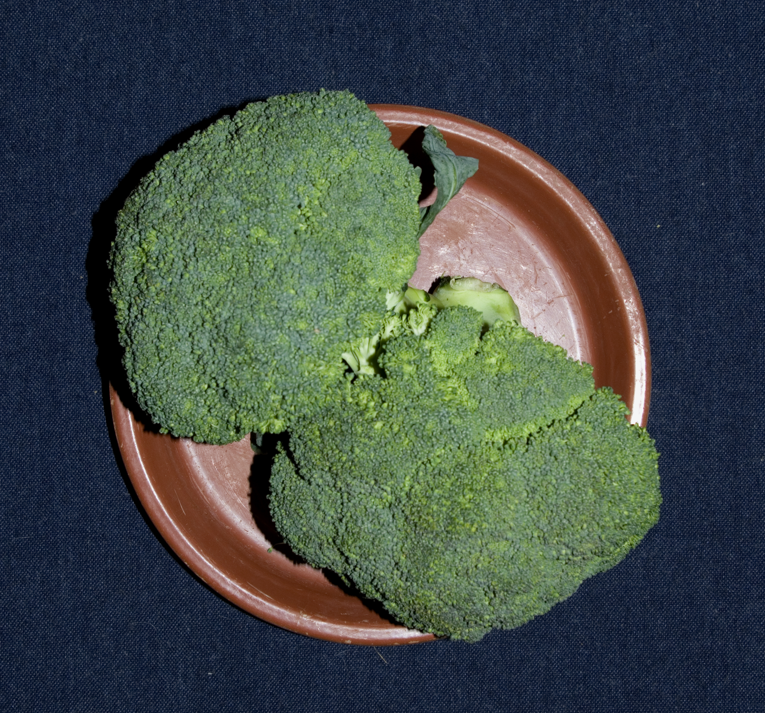 2 Broccoli florets