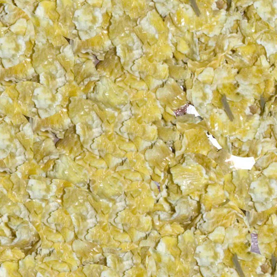 Maize (10 cereal boxfuls)
