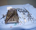 Instruments for rabbit surgery